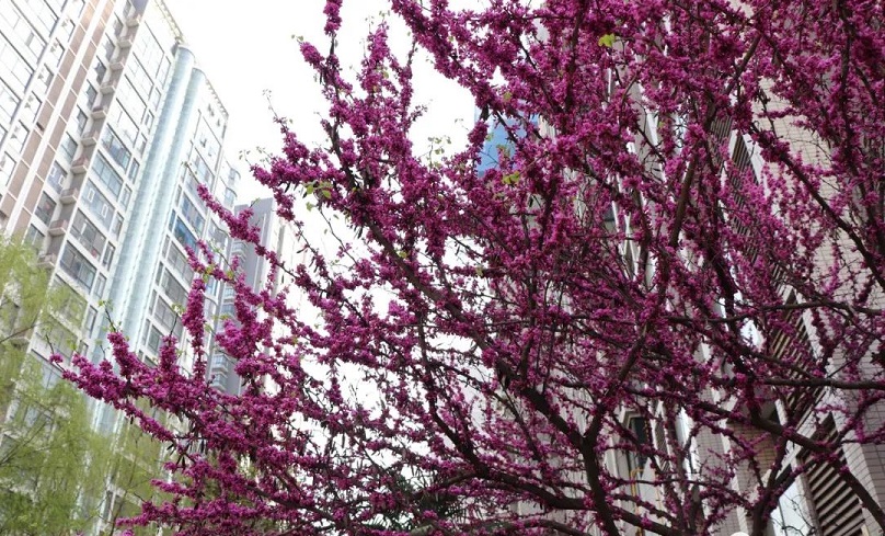 精产国品一二三产区蘑菇视频