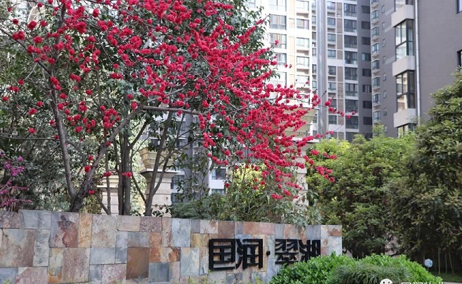 精产国品一二三产区蘑菇视频