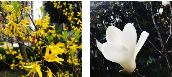 精产国品一二三产区蘑菇视频