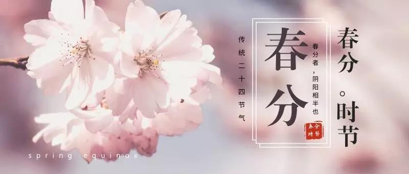 精产国品一二三产区蘑菇视频