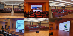 精产国品一二三产区蘑菇视频